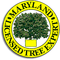 Maryland License Tree Expert  Logo